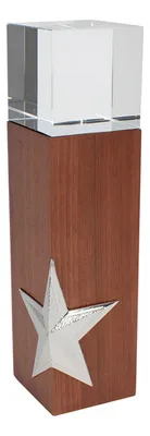 Trofeo Madera Cristal Silver Star Plateado Elegante Plateado
