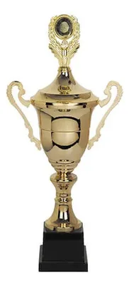 Trofeo Copa Metálica Cy 301 Con Base Plástica