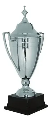 Copa Metálica Con Base Madera