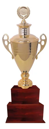 Copa Metálica Con Base Plástica