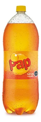 Bebida Gasificada Pap 3 Litros Refresco
