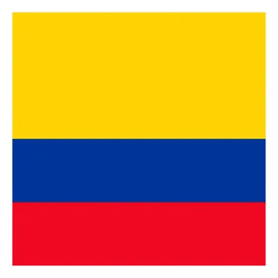 Bandera Colombia 60x90cm Poliéster Estampada