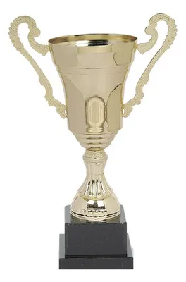 Copa Metálica Cy 2025