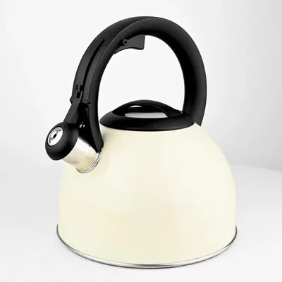 Tetera Acero Inoxidable 3l Minerva Doral