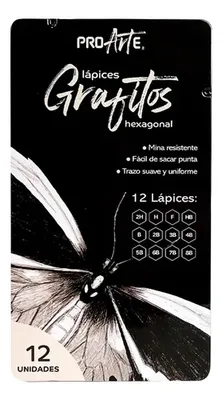 Lápiz Grafito Dibujo Profesional 12 Unidades