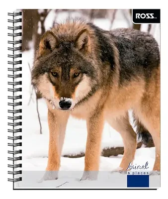 Cuaderno Universitario 100 Hojas Espiral Matemática 7mm