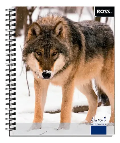 Cuaderno Universitario 100 Hojas Espiral Matemática 7mm