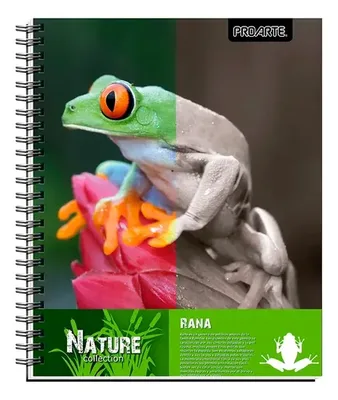 Cuaderno Universitario 100 Hojas Rayado 7mm