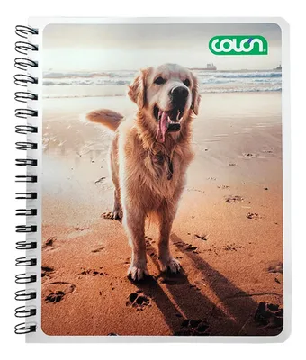 Cuaderno Universitario Espiral 100 Hojas Matemática