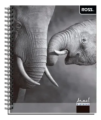 Cuaderno Universitario 100 Hojas Espiral Matemática