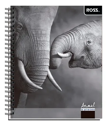 Cuaderno Universitario 100 Hojas Espiral Matemática