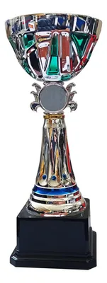 Copa Plástica Con Base Plástica