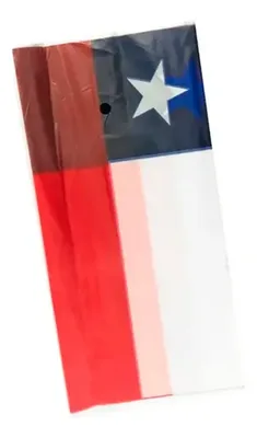 Bandera Plástica Para Fiesta De 10 Metros