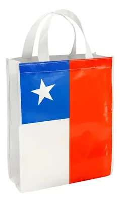 Bolsa Tnt Bandera Chilena Chica - Blanco Blanco