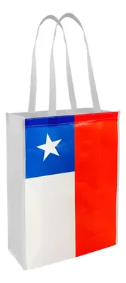 Bolsa Tnt Bandera Chilena Mediana Azul Azul