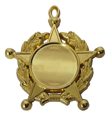 Medalla Condecoracion Estrella Laurel Personalizable