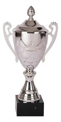 Copa Trofeo Metálica Con Base Plástica 4 Tamaños