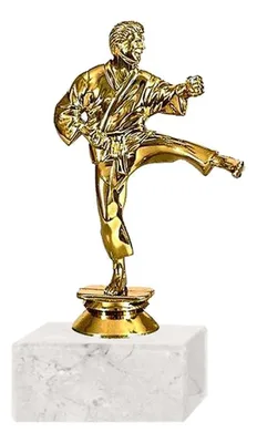 Trofeo Plástico Karate Mediano Con Base Mármol