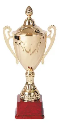 Copa Trofeo Metálica Cuerpo Plástico Base Plástica