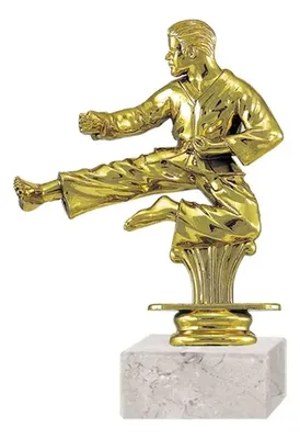 Trofeo Plástico Karate Con Base Mármol 16cm