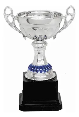 Copa Plástica Personalizable Con Placa Grabada