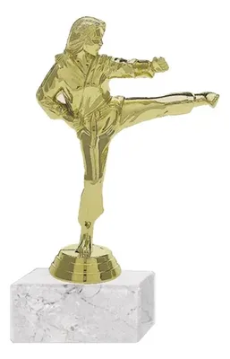 Trofeo Plástico Karate Femenino Dorado 18cm Dorado