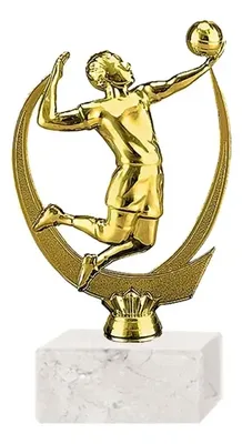 Trofeo Plástico Voleibol Jugador Oro Base Mármol Oro