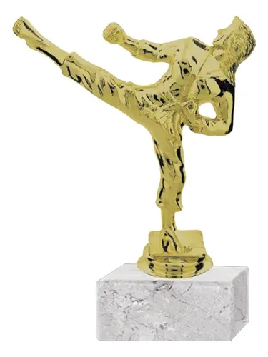 Trofeo Plástico Karate Femenino 13.5 Cm