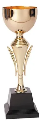 Copa Trofeo Metálica Con Base Plástica 224 Modelo