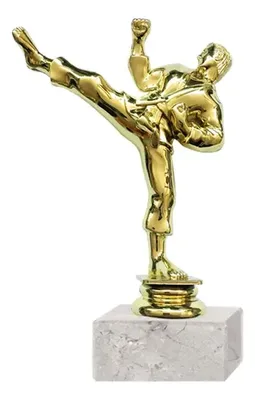 Trofeo Artes Marciales Plástico Oro Rp-8015 Oro