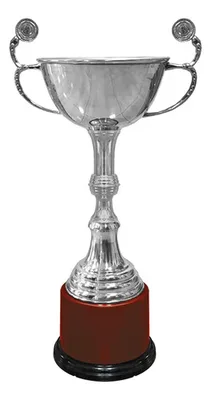 Copa Metálica Súper Campeón Base Madera 3 Tamaños