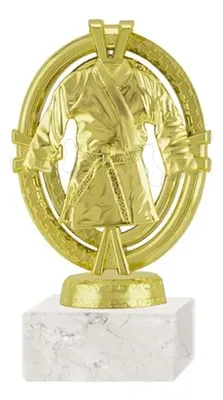 Trofeo Plástico Artes Marciales Con Base Mármol