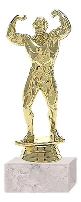 Trofeo Físico Culturismo Plástico Oro 18cm Oro