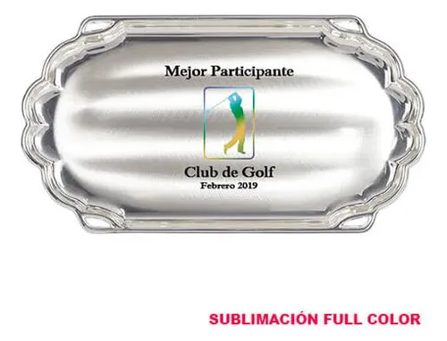 Bandeja Ovalada Acero Inoxidable Plata 27x15cm Plata