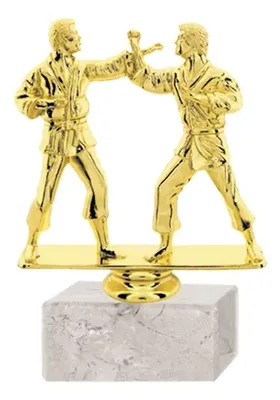 Trofeo Plástico Karate Doble Con Base Mármol