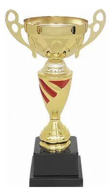 Copa Profesional Metálica Plástica 4 Tamaños