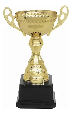 Copa Metálica Personalizable Con Base Plástica