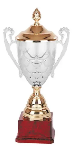 Copa Trofeo Metálica 801 Con Base Plástica