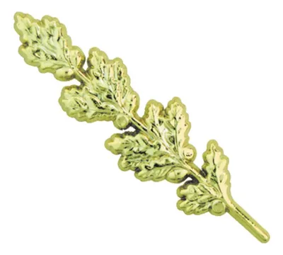 Molde Plástico Laurel 2 Decoración 7.6cm