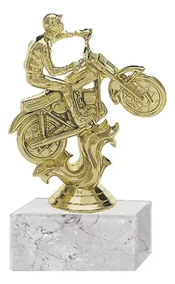 Trofeo Plástico Motocross Dorado 18cm Modelo 188
