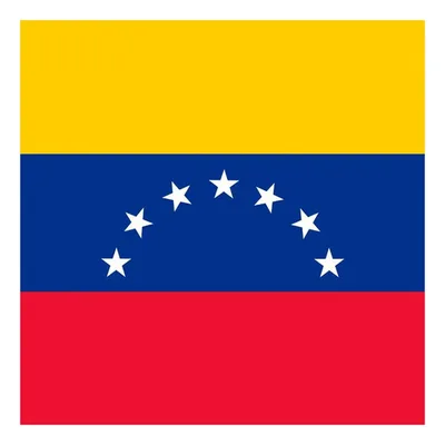 Bandera Venezuela 60x90cm Estampada