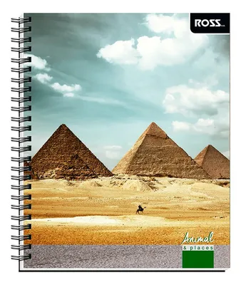Cuaderno Universitario 100 Hojas Rayado 7mm
