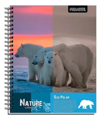 Cuaderno Universitario 100 Hojas Rayado 7mm