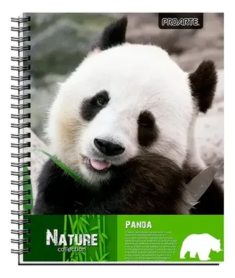 Cuaderno Universitario 100 Hojas Rayado 7mm