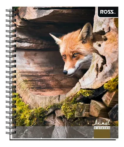 Cuaderno Universitario 100 Hojas Rayado 7mm