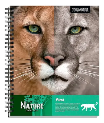 Cuaderno Universitario 100 Hojas Rayado 7mm