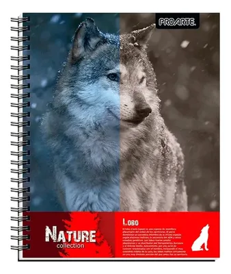 Cuaderno Universitario 100 Hojas Espiral Matemática