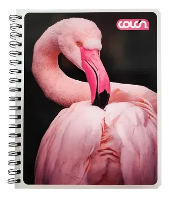 Cuaderno Universitario Espiral 100 Hojas Matemática Coral Claro