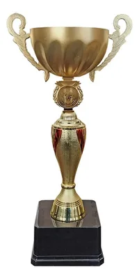 Copa Jn