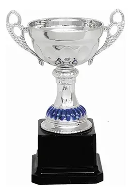 Copa Plástica De Diversos Tamaños
